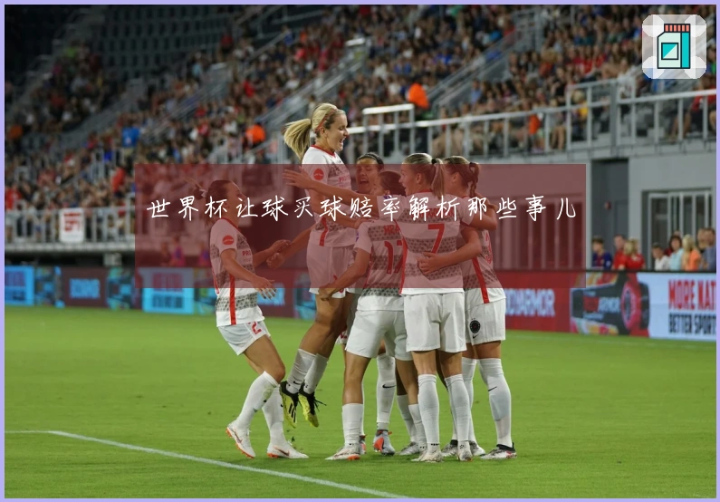 世界杯让球买球赔率解析那些事儿
