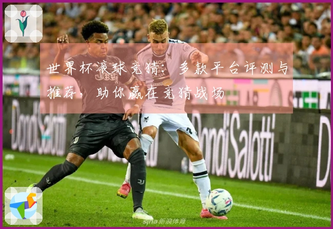 世界杯滚球竞猜：多款平台评测与推荐，助你赢在竞猜战场