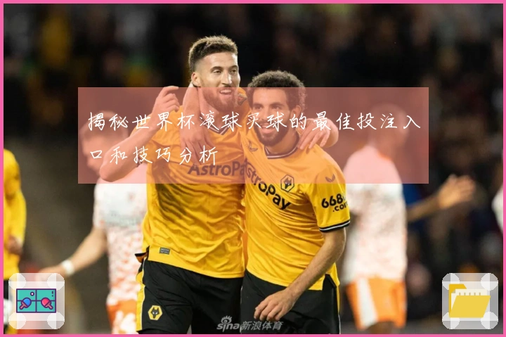 揭秘世界杯滚球买球的最佳投注入口和技巧分析