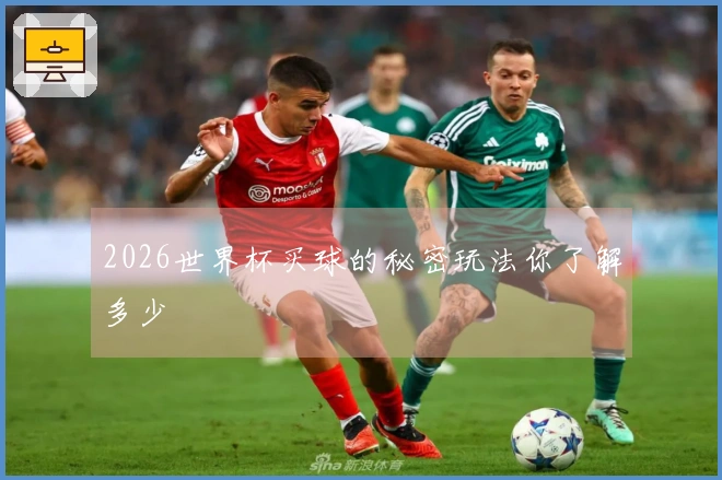 2026世界杯买球的秘密玩法你了解多少