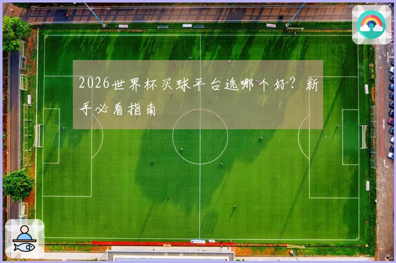 2026世界杯买球平台选哪个好？新手必看指南
