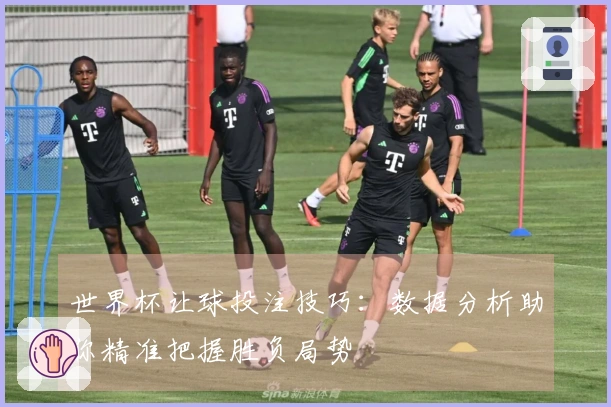 世界杯让球投注技巧：数据分析助你精准把握胜负局势