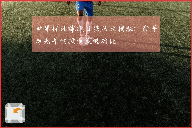 世界杯让球投注技巧大揭秘：新手与老手的投注策略对比