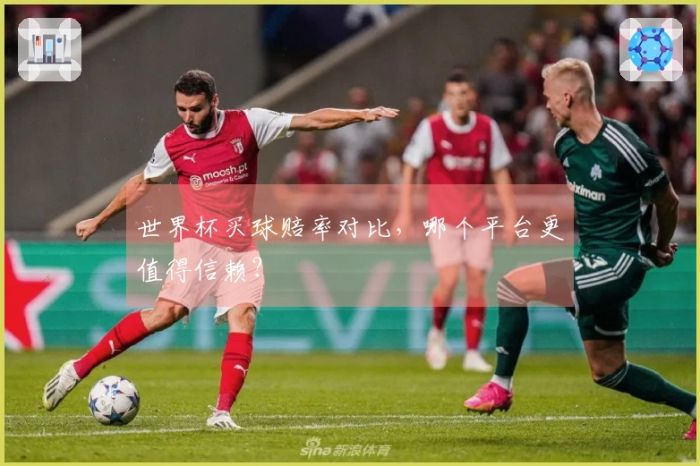 世界杯买球赔率对比，哪个平台更值得信赖？