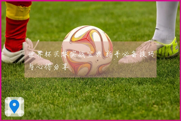世界杯买球实战宝典 新手必备技巧与心得分享