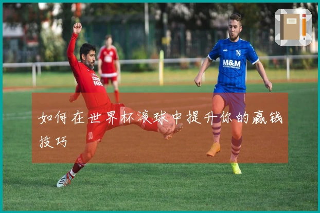 如何在世界杯滚球中提升你的赢钱技巧