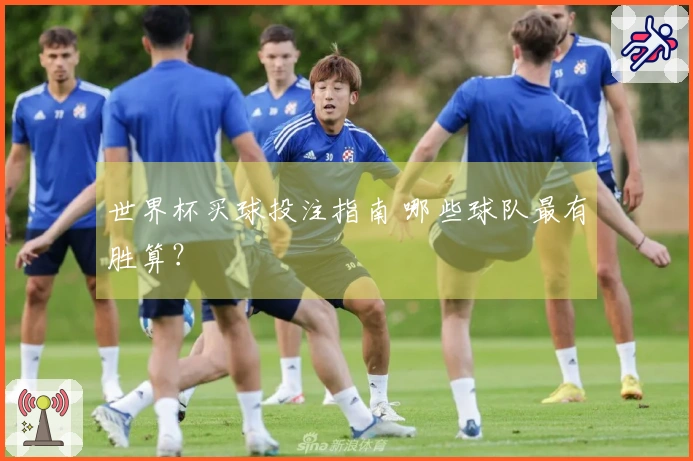 世界杯买球投注指南 哪些球队最有胜算?