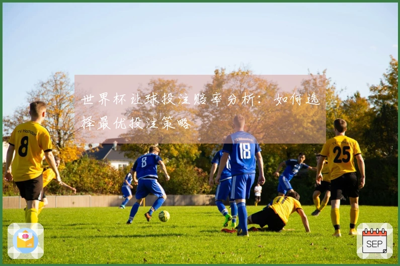 世界杯让球投注赔率分析：如何选择最优投注策略