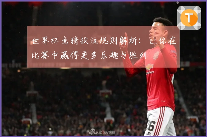 世界杯竞猜投注规则解析：让你在比赛中赢得更多乐趣与胜利