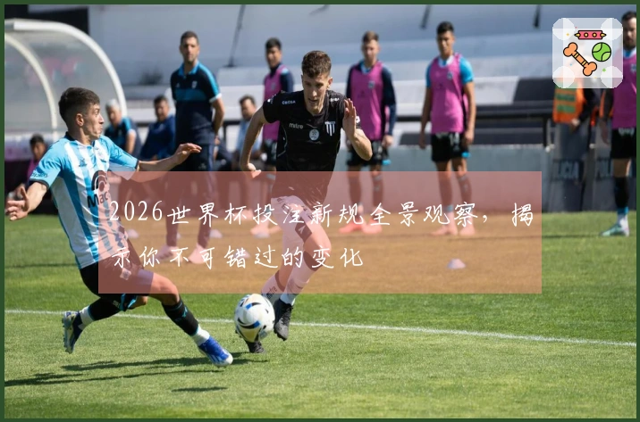 2026世界杯投注新规全景观察，揭示你不可错过的变化