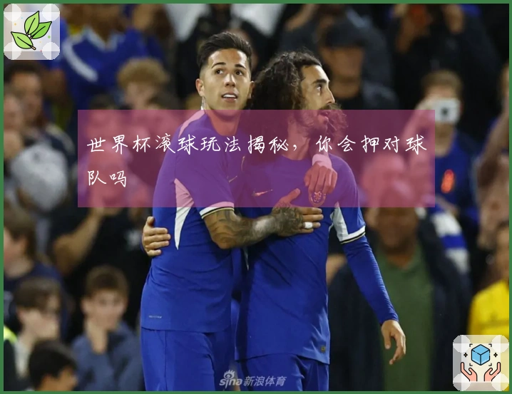 世界杯滚球玩法揭秘，你会押对球队吗