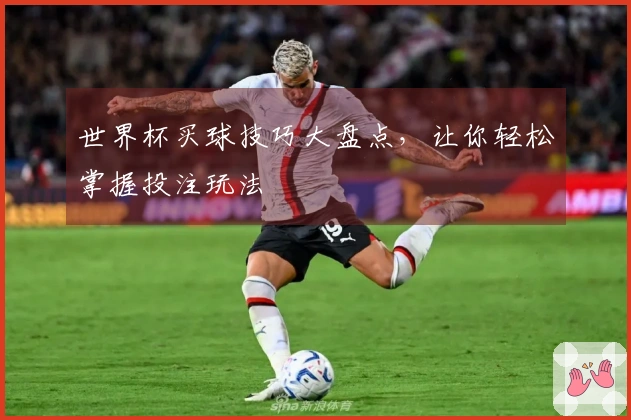 世界杯买球技巧大盘点,让你轻松掌握投注玩法