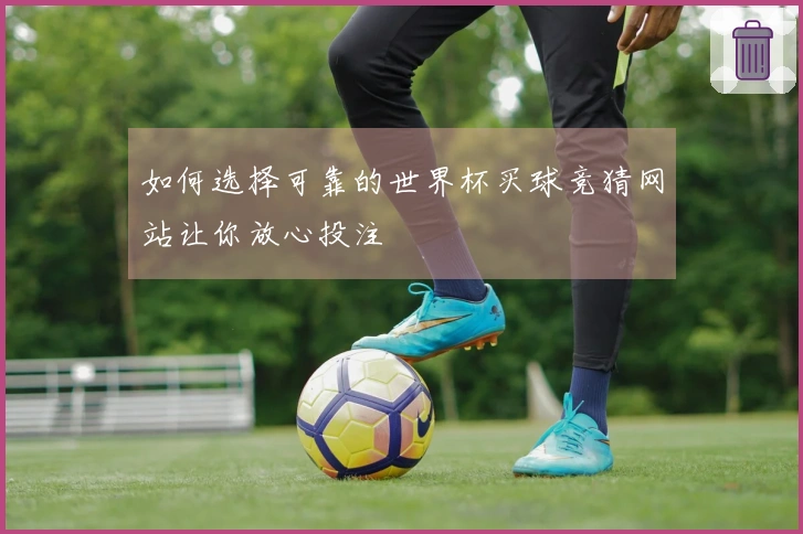 如何选择可靠的世界杯买球竞猜网站让你放心投注