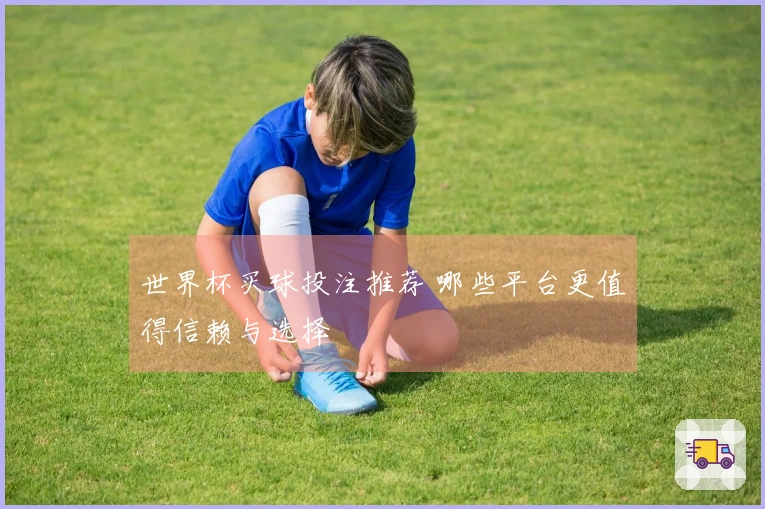 世界杯买球投注推荐 哪些平台更值得信赖与选择